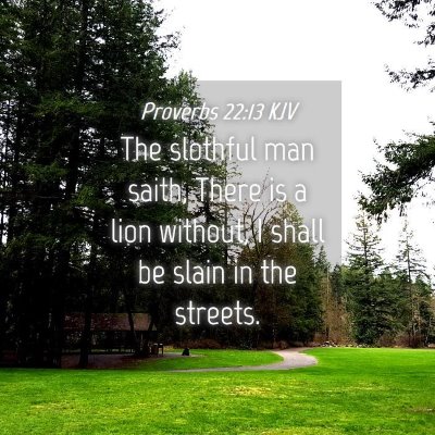 Picture 04 - Proverbs 22:13 KJV - The slothful man saith, There is a lion without, - Bible Verse Picture