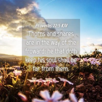 Picture 04 - Proverbs 22:5 KJV - Thorns and snares are in the way of the froward: - Bible Verse Picture