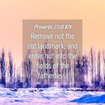 Picture 04 - Proverbs 23:10 KJV - Remove not the old landmark; and enter not into - Bible Verse Picture