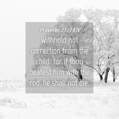 Picture 04 - Proverbs 23:13 KJV - Withhold not correction from the child: for if - Bible Verse Picture