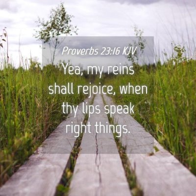 Picture 04 - Proverbs 23:16 KJV - Yea, my reins shall rejoice, when thy lips speak - Bible Verse Picture