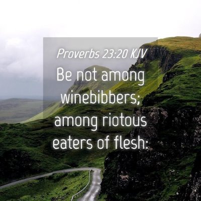 Picture 04 - Proverbs 23:20 KJV - Be not among winebibbers; among riotous eaters of - Bible Verse Picture