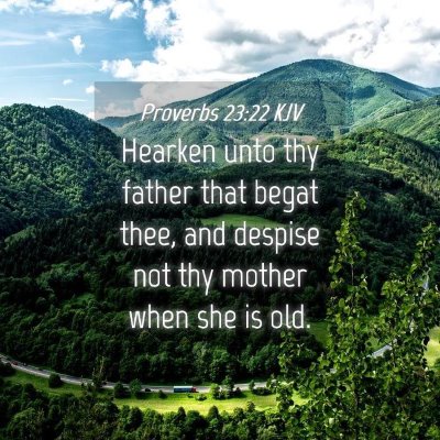 Picture 04 - Proverbs 23:22 KJV - Hearken unto thy father that begat thee, and - Bible Verse Picture