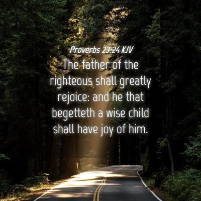Picture 04 - Proverbs 23:24 KJV - The father of the righteous shall greatly - Bible Verse Picture