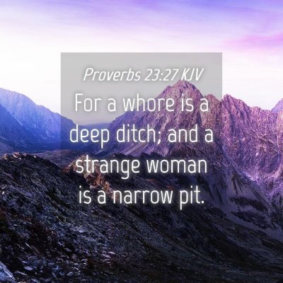 Picture 04 - Proverbs 23:27 KJV - For a whore is a deep ditch; and a strange woman - Bible Verse Picture