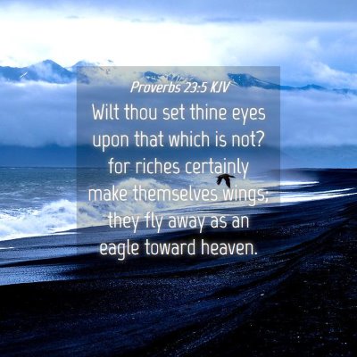 Picture 04 - Proverbs 23:5 KJV - Wilt thou set thine eyes upon that which is not? - Bible Verse Picture