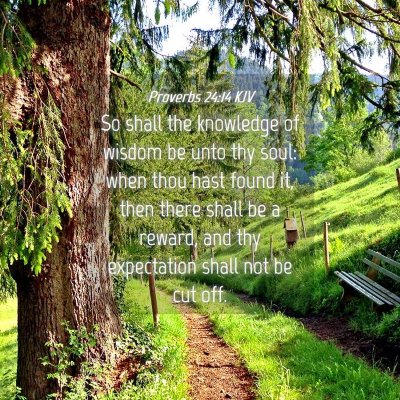 Picture 04 - Proverbs 24:14 KJV - So shall the knowledge of wisdom be unto thy - Bible Verse Picture