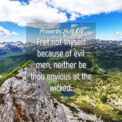 Picture 04 - Proverbs 24:19 KJV - Fret not thyself because of evil men, neither be - Bible Verse Picture