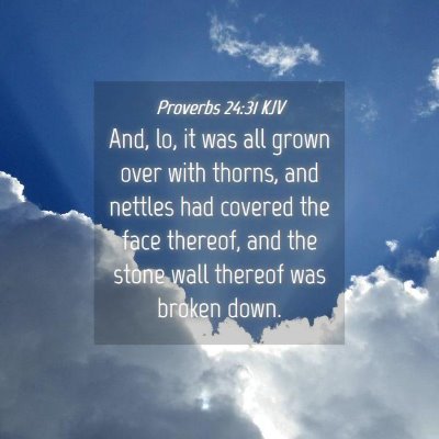 Picture 04 - Proverbs 24:31 KJV - And, lo, it was all grown over with thorns, and - Bible Verse Picture