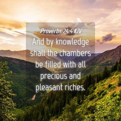 Picture 04 - Proverbs 24:4 KJV - And by knowledge shall the chambers be filled - Bible Verse Picture