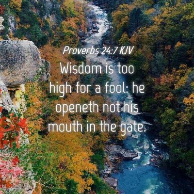 Picture 04 - Proverbs 24:7 KJV - Wisdom is too high for a fool: he openeth not his - Bible Verse Picture