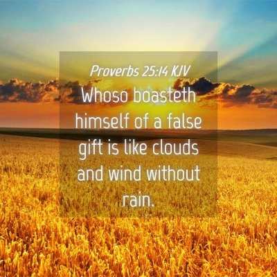 Picture 04 - Proverbs 25:14 KJV - Whoso boasteth himself of a false gift is like - Bible Verse Picture