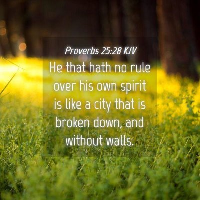 Picture 04 - Proverbs 25:28 KJV - He that hath no rule over his own spirit is like - Bible Verse Picture