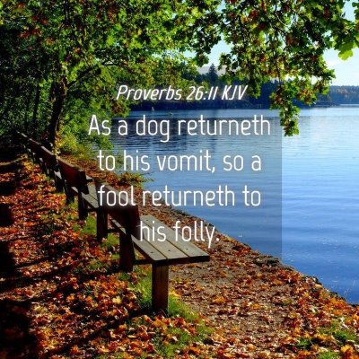 Picture 04 - Proverbs 26:11 KJV - As a dog returneth to his vomit, so a fool - Bible Verse Picture