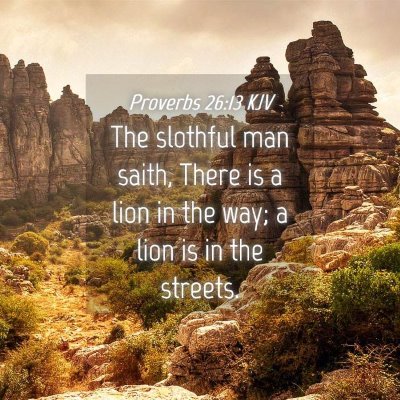 Picture 04 - Proverbs 26:13 KJV - The slothful man saith, There is a lion in the - Bible Verse Picture