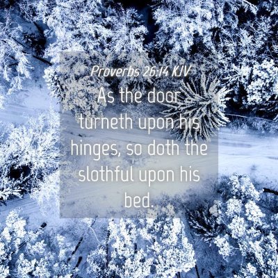 Picture 04 - Proverbs 26:14 KJV - As the door turneth upon his hinges, so doth the - Bible Verse Picture