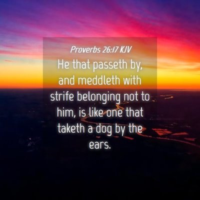 Picture 04 - Proverbs 26:17 KJV - He that passeth by, and meddleth with strife - Bible Verse Picture