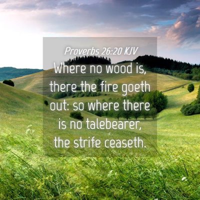Picture 04 - Proverbs 26:20 KJV - Where no wood is, there the fire goeth out: so - Bible Verse Picture
