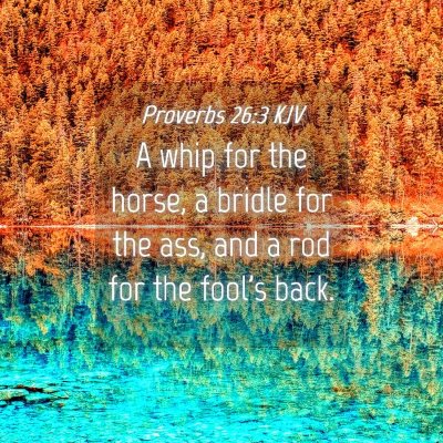 Picture 04 - Proverbs 26:3 KJV - A whip for the horse, a bridle for the ass, and a - Bible Verse Picture