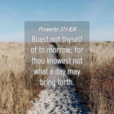 Picture 04 - Proverbs 27:1 KJV - Boast not thyself of to morrow; for thou knowest - Bible Verse Picture