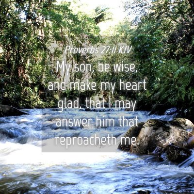 Picture 04 - Proverbs 27:11 KJV - My son, be wise, and make my heart glad, that I - Bible Verse Picture
