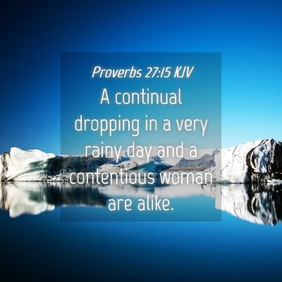 Picture 04 - Proverbs 27:15 KJV - A continual dropping in a very rainy day and a - Bible Verse Picture
