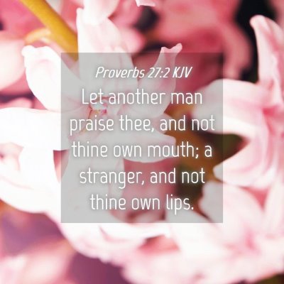 Picture 04 - Proverbs 27:2 KJV - Let another man praise thee, and not thine own - Bible Verse Picture
