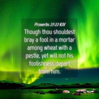Picture 04 - Proverbs 27:22 KJV - Though thou shouldest bray a fool in a mortar - Bible Verse Picture