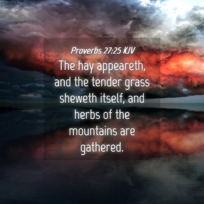 Picture 04 - Proverbs 27:25 KJV - The hay appeareth, and the tender grass sheweth - Bible Verse Picture