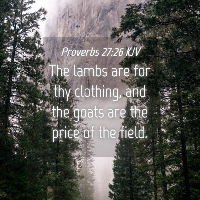 Picture 04 - Proverbs 27:26 KJV - The lambs are for thy clothing, and the goats are - Bible Verse Picture