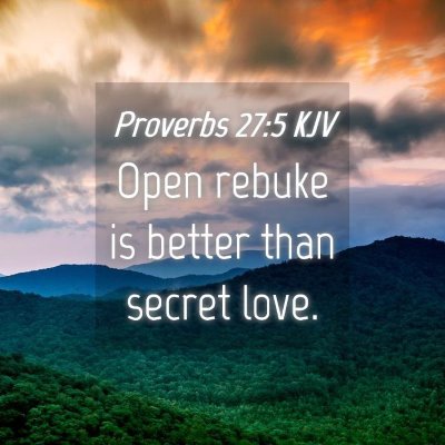 Picture 04 - Proverbs 27:5 KJV - Open rebuke is better than secret - Bible Verse Picture
