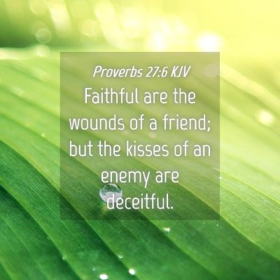 Picture 04 - Proverbs 27:6 KJV - Faithful are the wounds of a friend; but the - Bible Verse Picture
