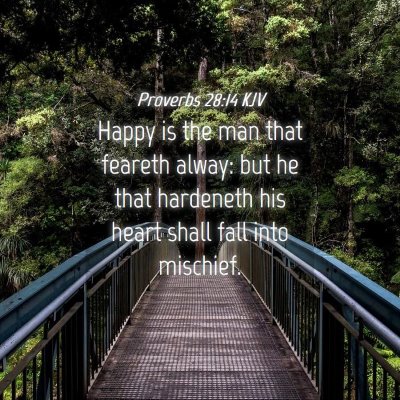 Picture 04 - Proverbs 28:14 KJV - Happy is the man that feareth alway: but he that - Bible Verse Picture