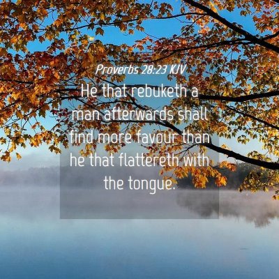 Picture 04 - Proverbs 28:23 KJV - He that rebuketh a man afterwards shall find more - Bible Verse Picture