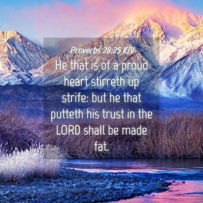 Picture 04 - Proverbs 28:25 KJV - He that is of a proud heart stirreth up strife: - Bible Verse Picture