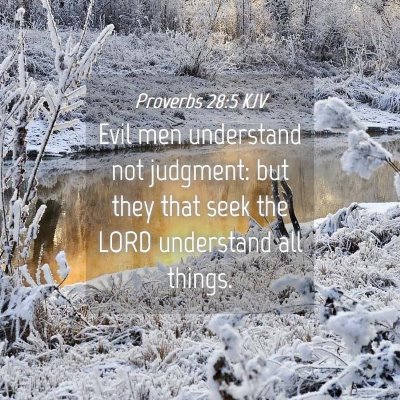 Picture 04 - Proverbs 28:5 KJV - Evil men understand not judgment: but they that - Bible Verse Picture