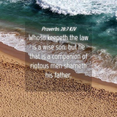 Picture 04 - Proverbs 28:7 KJV - Whoso keepeth the law is a wise son: but he that - Bible Verse Picture