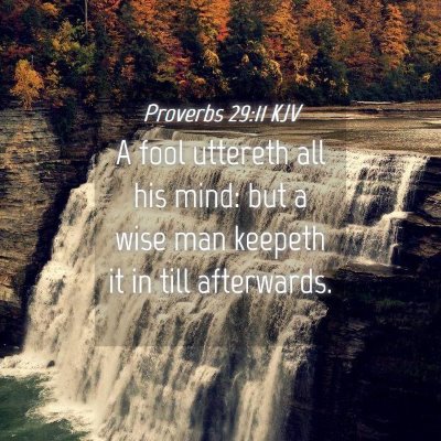 Picture 04 - Proverbs 29:11 KJV - A fool uttereth all his mind: but a wise man - Bible Verse Picture