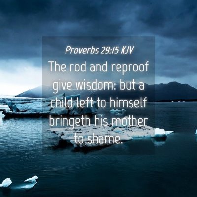 Picture 04 - Proverbs 29:15 KJV - The rod and reproof give wisdom: but a child left - Bible Verse Picture