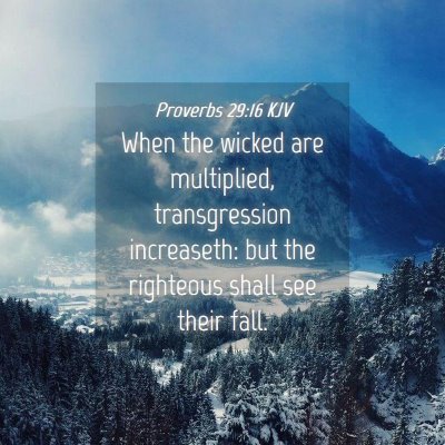 Picture 04 - Proverbs 29:16 KJV - When the wicked are multiplied, transgression - Bible Verse Picture