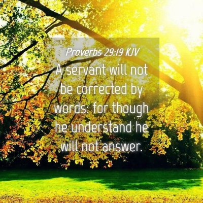 Picture 04 - Proverbs 29:19 KJV - A servant will not be corrected by words: for - Bible Verse Picture