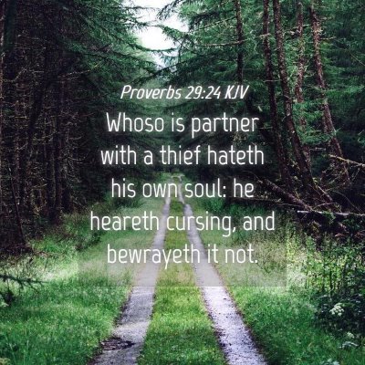 Picture 04 - Proverbs 29:24 KJV - Whoso is partner with a thief hateth his own - Bible Verse Picture