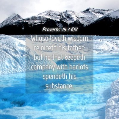 Picture 04 - Proverbs 29:3 KJV - Whoso loveth wisdom rejoiceth his father: but he - Bible Verse Picture