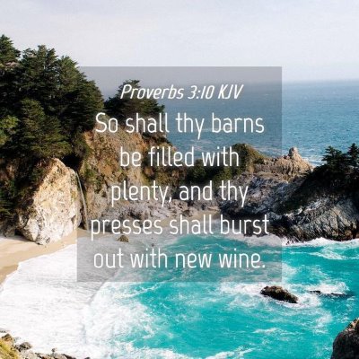 Picture 04 - Proverbs 3:10 KJV - So shall thy barns be filled with plenty, and thy - Bible Verse Picture