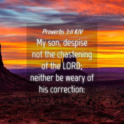 Picture 04 - Proverbs 3:11 KJV - My son, despise not the chastening of the LORD; - Bible Verse Picture
