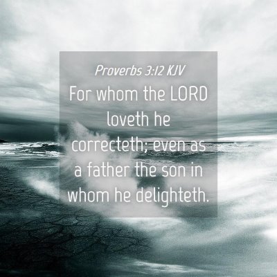 Picture 04 - Proverbs 3:12 KJV - For whom the LORD loveth he correcteth; even as a - Bible Verse Picture
