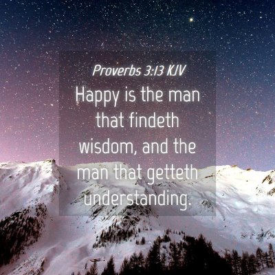 Picture 04 - Proverbs 3:13 KJV - Happy is the man that findeth wisdom, and the man - Bible Verse Picture