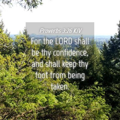 Picture 04 - Proverbs 3:26 KJV - For the LORD shall be thy confidence, and shall - Bible Verse Picture