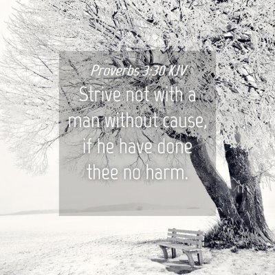 Picture 04 - Proverbs 3:30 KJV - Strive not with a man without cause, if he have - Bible Verse Picture