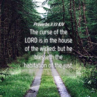 Picture 04 - Proverbs 3:33 KJV - The curse of the LORD is in the house of the - Bible Verse Picture